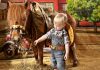 Фото Катание на лошадях и маленьких пони с доставкой, на детский праздник, день рождения!