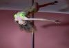 Фото Pole Dance студия (занятия на пилоне(шесте), стрейчинг(растяжка))