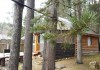 Фото Сдаю дом на Селигере, в сосновом бору, на берегу озера!