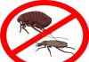 Уничтожение клопов, тараканов, комаров, клещей, короеда, мышей