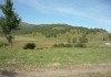 Фото 290 соток на Алтае, у села, на ручье
