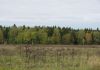 Фото Участок около леса 10 соток, 43 км от МКАД по Ярославскому шоссе