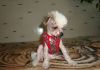 Фото Продаются щенки Китайской Хохлатой.