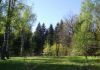 Лесной участок 50 соток под усадьбу в Федоскино рядом с Пяловским водохранилищем