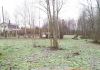 Фото Земельный участок в окружении леса в Рузском районе деревне Акатово
