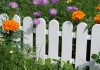 Фото Декоративные заборы для клумб, цветников, ограждения садовые