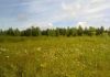 Фото Продаю участок 7 соток в дачном поселке, около д. Большие Дворы.