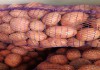 Фото Яблоки, соленья, морковь, картофель,