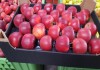 Яблоки, картофель, лук. урожай 2021 года