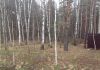 Фото Лесной участок 7 соток д.Вялки ИЖС