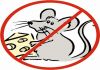 Фото Дератизация. Договор на дератизацию. Уничтожение крыс, мышей, кротов.