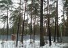 Фото 20 соток в Кратово (сторона г. Жуковский)