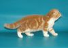 Фото Шотландские котята скоттиш фолд и страйт, хайленды