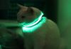 Фото Светящийся ошейник для собак и кошек