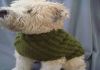 Фото Вязанная одежда для собак