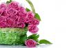 Купить розы по оптовым ценам с доставкой