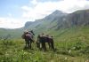 Фото Конные походы в горах Адыгеи. Район Фишта и плато ЛагоНаки