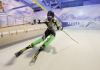 Фото Горнолыжный тренажер Proleski: горные лыжи круглый год, франшиза
