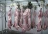 Фото Мясо кролика оптом от производителя