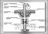 Фото Бурение скважин на воду, чистка и ремонт скважин
