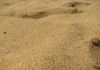 Песок, щебень, отсев, земля, бут, скала