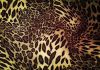 Фото Рулон ткани, стрейч, расцветка леопард