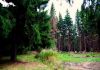Фото Продам земельный участок 6 соток