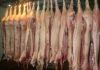 Мясо свинина оптом от производителя