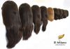 Натуральные и Окрашенные Обесцвеченные Волосы из Узбекистана
