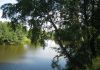 Фото Дача в супер-месте, 200м до реки Сестры, д.Карманово.Дмитроское ш. 95км от МКАД.