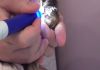 Фото Чистка зубов у собак ультразвуком без наркоза