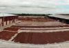Фото Какао-бобы тертые из Эквадора от производителя.