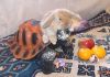 Фото Карликовые крольчата оригинальный подарок к любому празднику