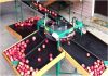 Фото Сортировочная линия для яблок, груш, помидор и др. круглых плодов