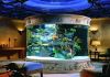 Фото Изготовление аквариумов, террариумов на заказ по Вашим размерам