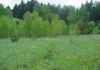 Фото Участок 19,5 соток с лесными деревьями в КП «Взгорье»