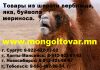 Купить изделия из верблюжьей шерсти, яка, буйвола, мериноса в розницу из Монголии. Сургут.