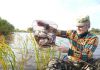 Фото Приму с благодарностью старый матрац ватный полосатый с бантиками.для поездок на рыбалку