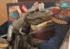 Фото Динозавр Горгона- прогулка с динозаврами 30см, звук, на шарнирах и даже хвост