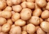 Белорусский картофель оптом от 20 тонн