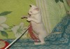 Фото Уральский рекс-не аллергичные кошки
