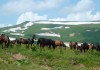 Фото Конный поход в горах Адыгеи Фишт. 6 дней