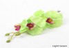 Фото Заколка в виде цветка орхидеи зеленая