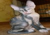 Фото Котята породы донской сфинкс