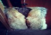 Фото Шуба норковая, жилетка меховая из цельной лисы