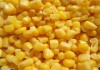 Фото Продаю фуражную кукурузу 1; 2; и 3-й класс. Масленичный подсолнечник отличного качества.