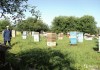 Фото Натуральный пчелиный мёд