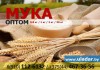 Мука пшеничная и ржаная оптом из Беларуси