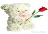 Фото Фигура из цветов Мишка с розой