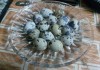 Фото Перепела, инкубационные яйца, столовое яйцо, мясо охлажденка